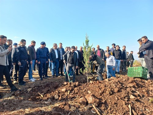 Kaymakamımız Sayın Hasan Ali KURT, 11 Kasım Milli Ağaçlandırma Günü Münasebetiyle Düzenlenen Fidan Dikim Etkinliğine Katıldı